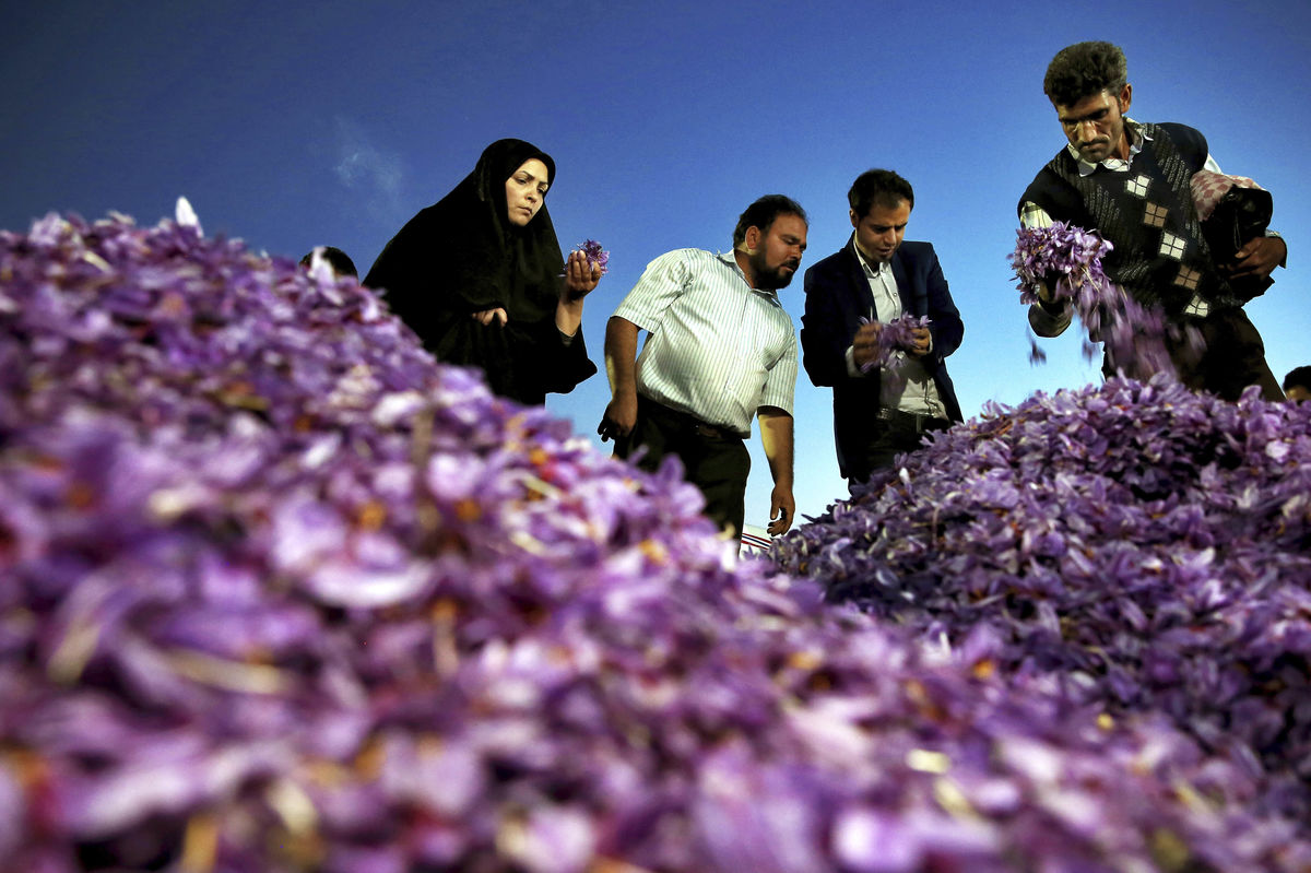 حذف زعفران ایران از بازار جهانی؟